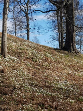 Pilegrimsherberge InnomHaug